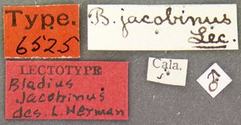 Media type: image;   Entomology 6525 Aspect: labels